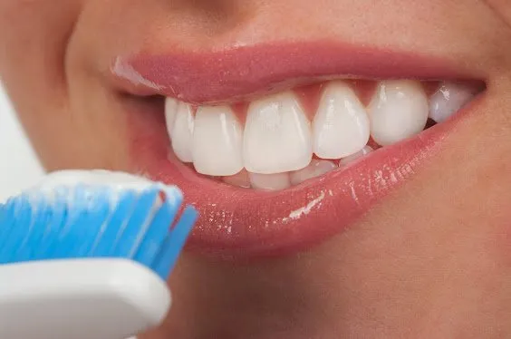 Táticas blindadas contra a formação orgânica de tártaro
